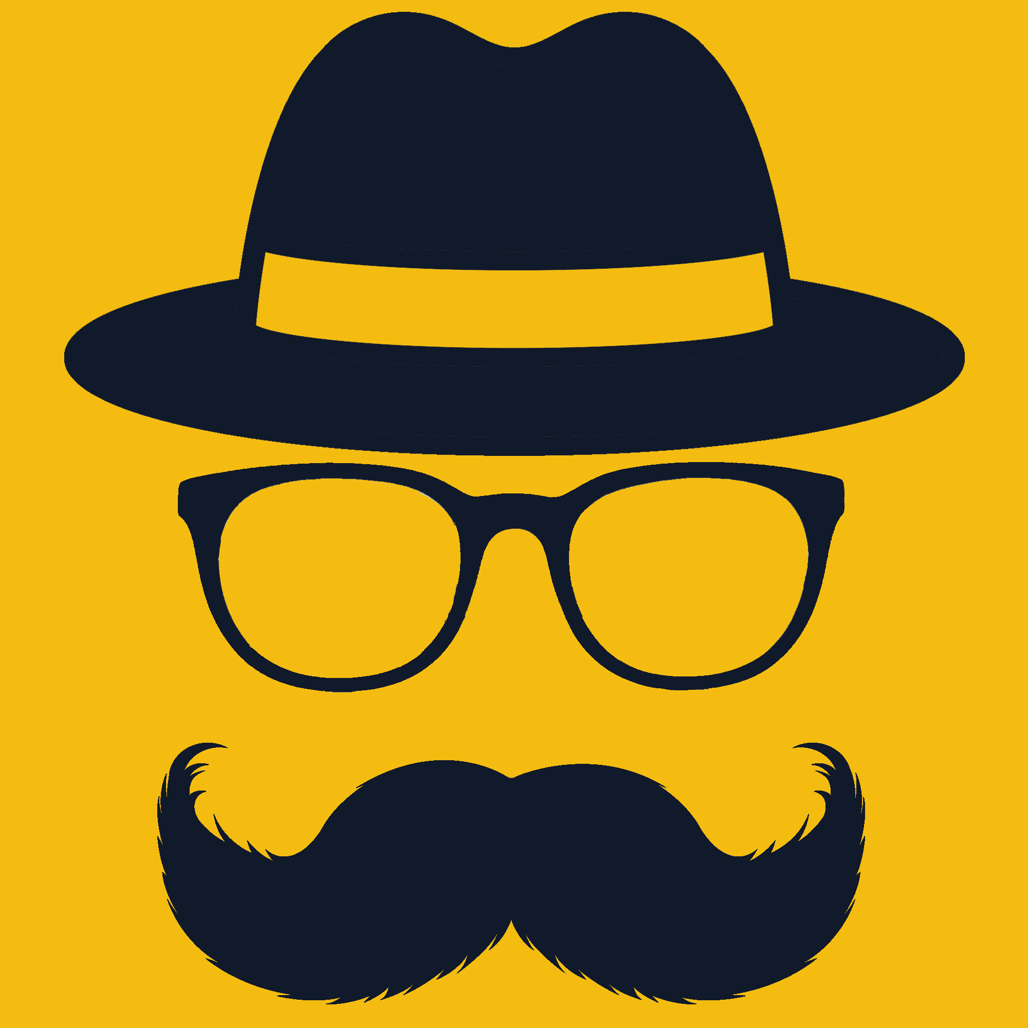 مهرسا رهنما